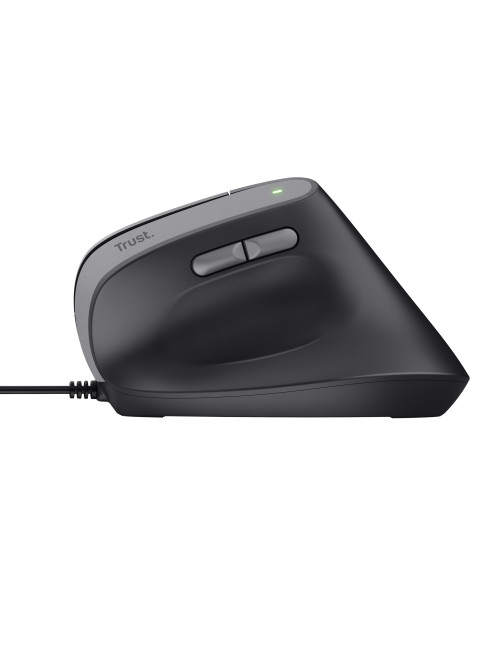 Raton trust bayo ii negro
