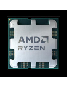 Procesador amd ryzen 7 7800x3d 8