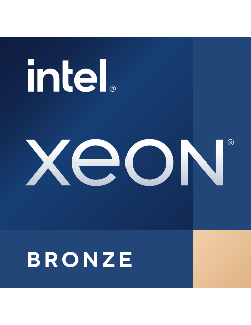 Procesador intel xeon bronze 3508u fclga4677
