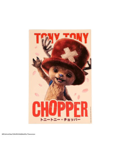 Placa aluminio cinereplicas one piece tony