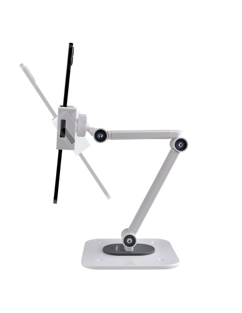 Soporte con brazo startech tablet 12.9 pulgadas