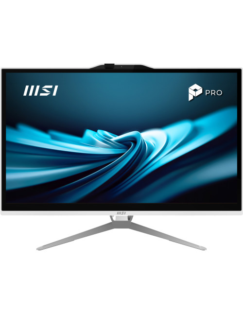 Ordenador all in one msi pro