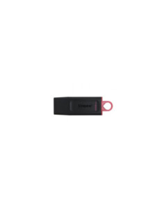 Memoria usb 3.2 kingston 256 gb