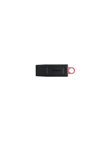 Memoria usb 3.2 kingston 256 gb