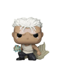 Funko pop fullmetal alchemist brotherhood scar