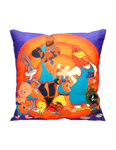 Cojin cuadrado tune squad team space