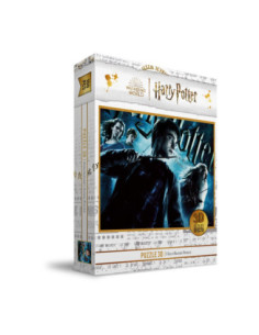 Puzzle 100 efecto 3d poster harry