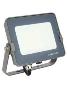 Foco led silver electronics forge+proyector ips