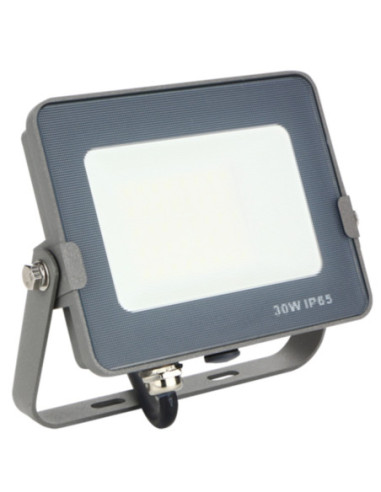 Foco led silver electronics forge+proyector ips