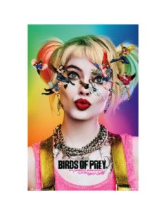 Poster birds of prey dazed and