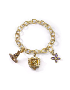 Brazalete the noble collection harry potter