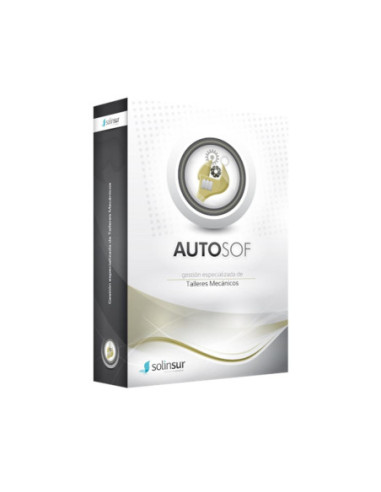 Programa gestion integral talleres coches monopuesto