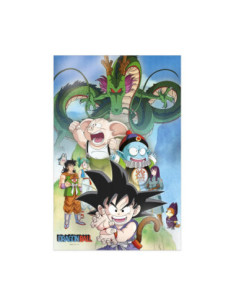 Poster 3d 38x58cm shenron and heroes