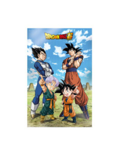 Poster 3d 58x38cm battle of gods