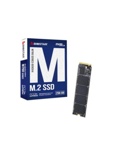 Disco duro interno ssd biostar m760
