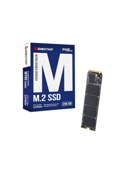 Disco duro interno ssd biostar m760