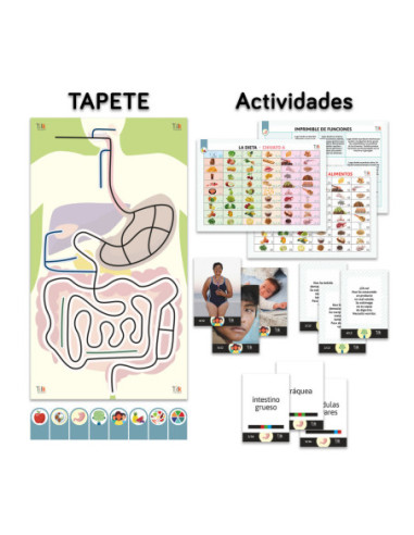 Pack aparato digestivo tilk ozobot tapete