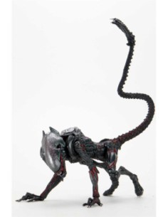 Figura neca night cougar alien scale