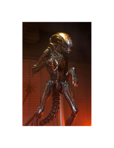 Ultimate scorched xenomorph scale action fig.