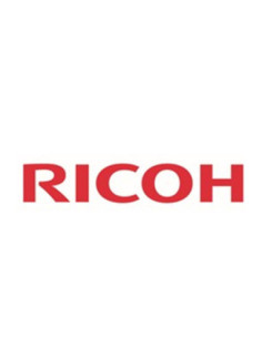 Cartucho ricoh garment cyan 257064 type