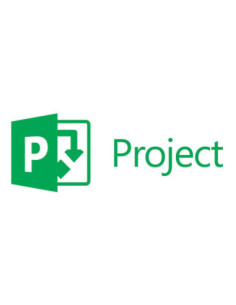 Microsoft project standard 2024 esd (descarga
