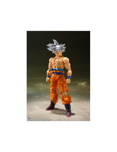 Figura tamashii nations dragon ball son
