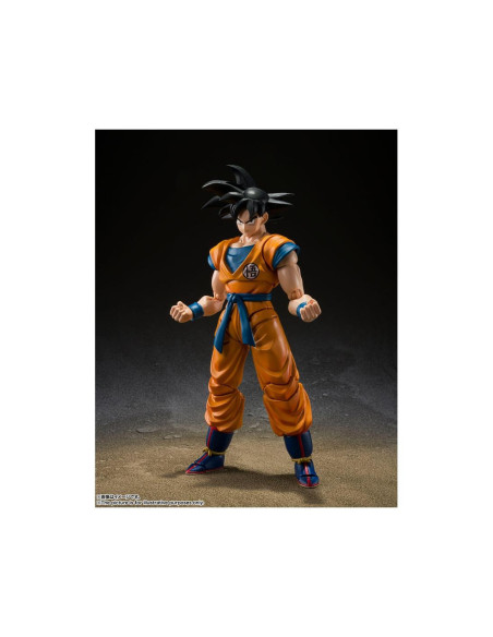 Figura tamashii nations dragon ball super