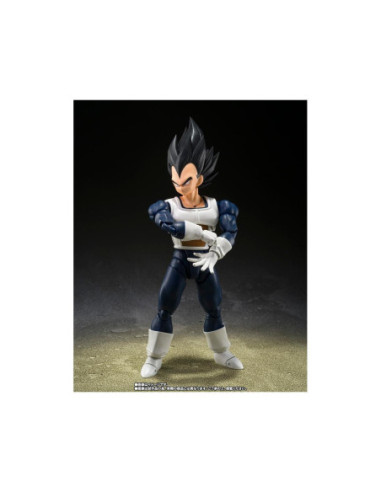 Vegeta - old battle clothes -  fig. 14