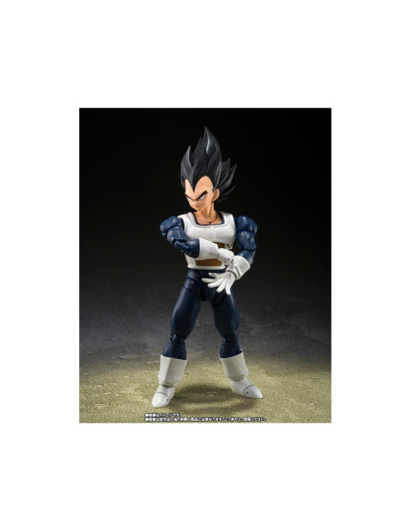 Vegeta - old battle clothes -  fig. 14
