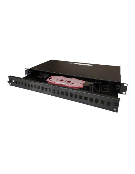 Patch panel wp 1u 19 pulgadas 24