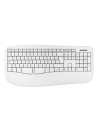 Teclados